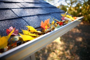 Roof, Gutters, Fall Leaves - Armor Roofing
