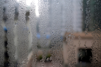 What Window Condensation Warnings Should I Be Aware Of?